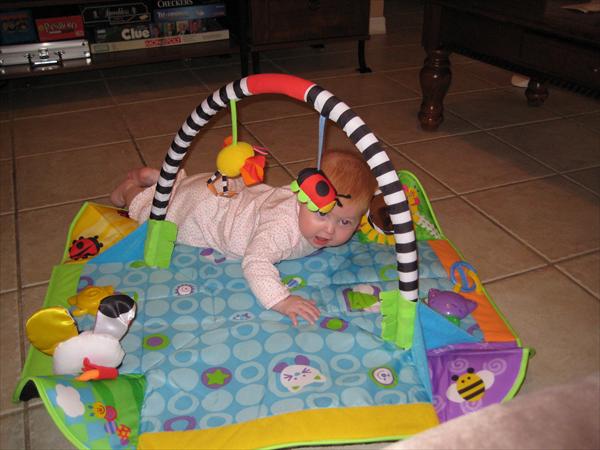 Photo Number 133