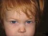 Thumbnail of Photo Number 244